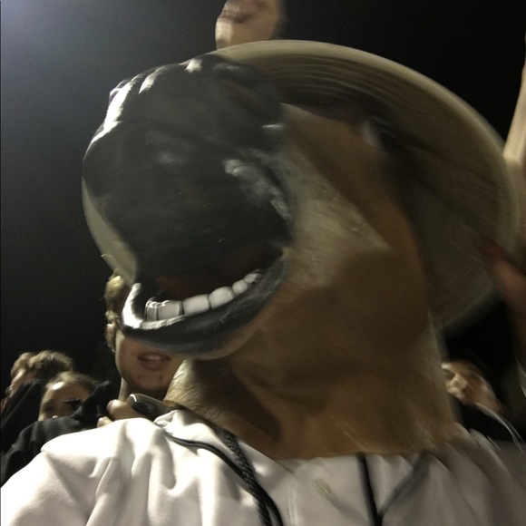 Meet your Posher, Mitch - Picture 3 of 5